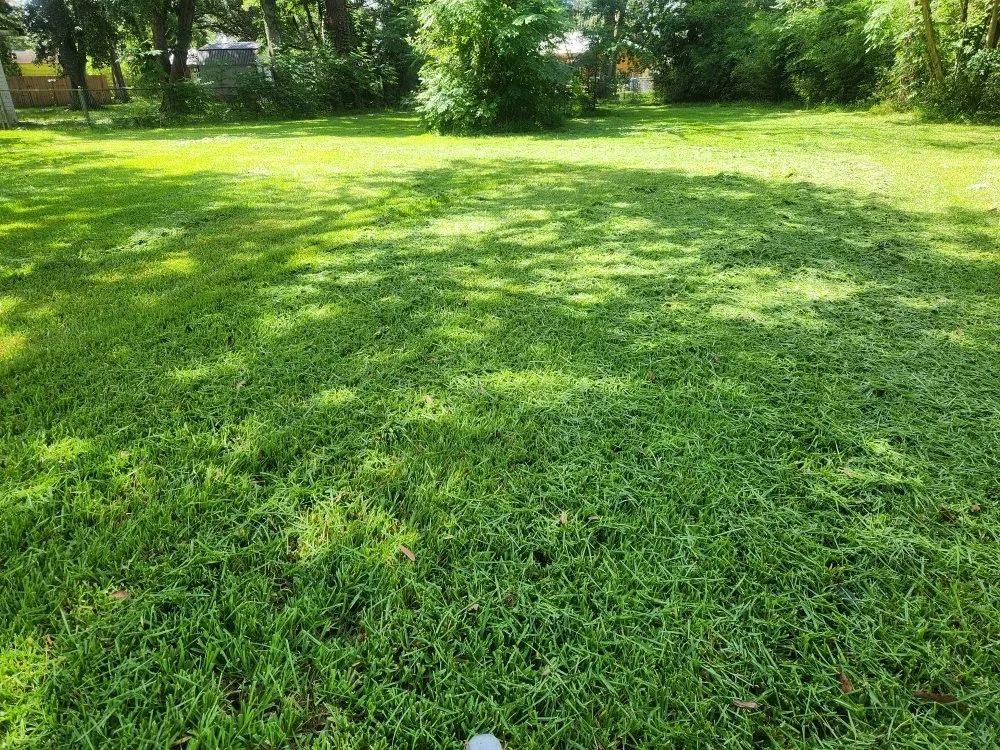 Top-rated yard cleanup service for year-round maintenance across New Iberia, LA - Lanie's Lawncare Services