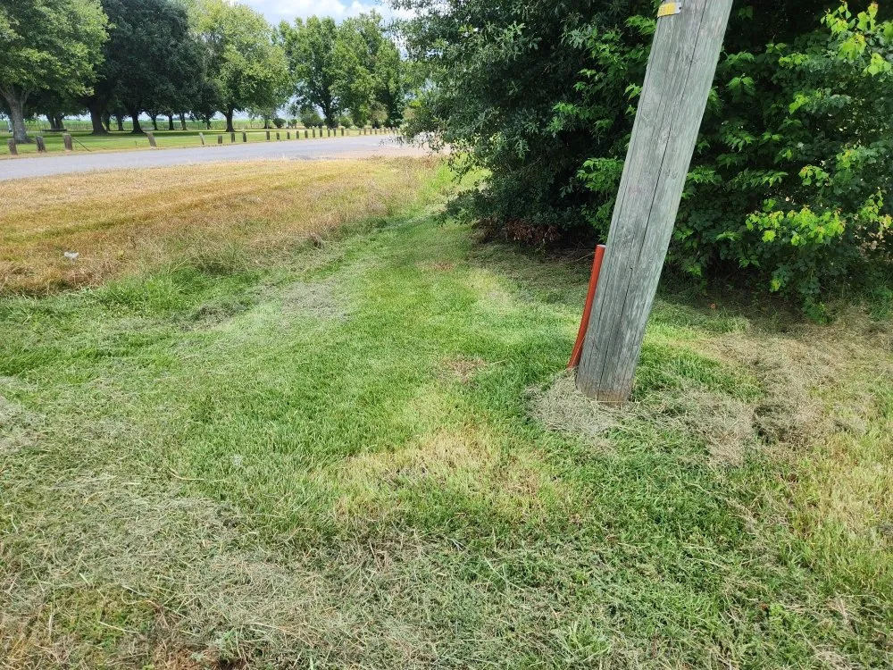 Trusted landscape design near you in New Iberia, LA by Lanie's Lawncare Services