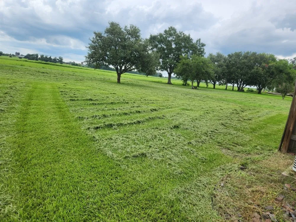 Expert yard cleanup service in New Iberia, LA - Lanie's Lawncare Services