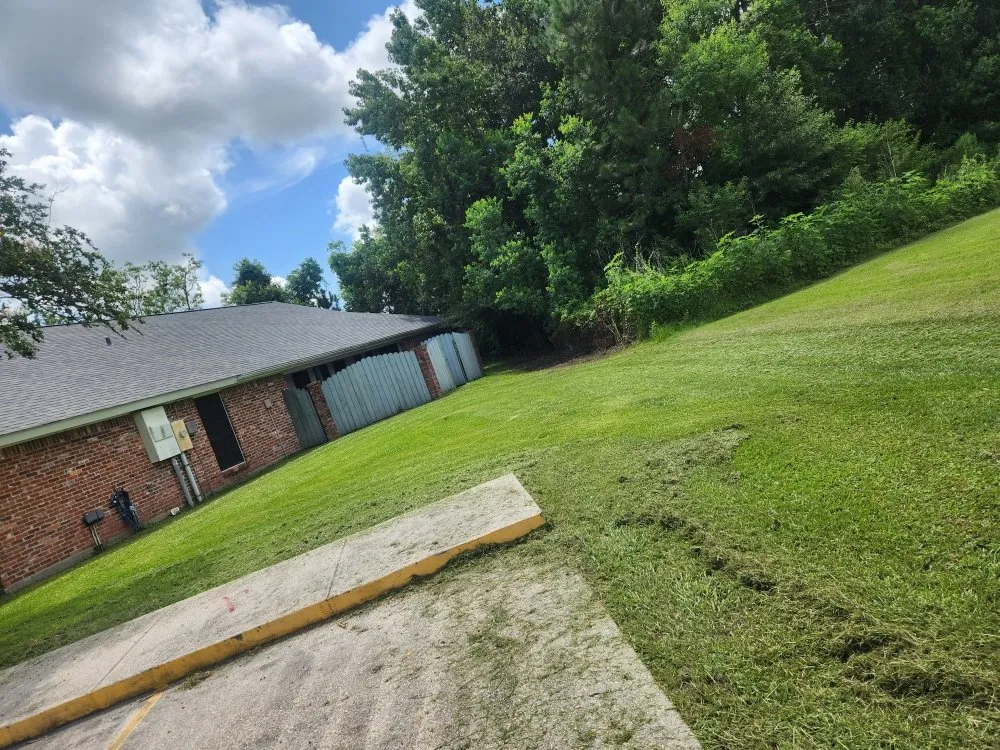 Expert yard maintenance for year-round maintenance in New Iberia, LA by Lanie's Lawncare Services