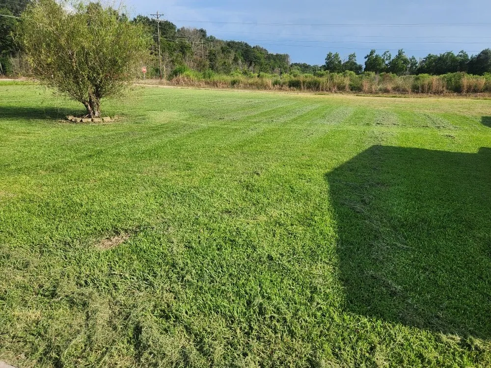 Top-rated garden landscaping in New Iberia, LA - Lanie's Lawncare Services