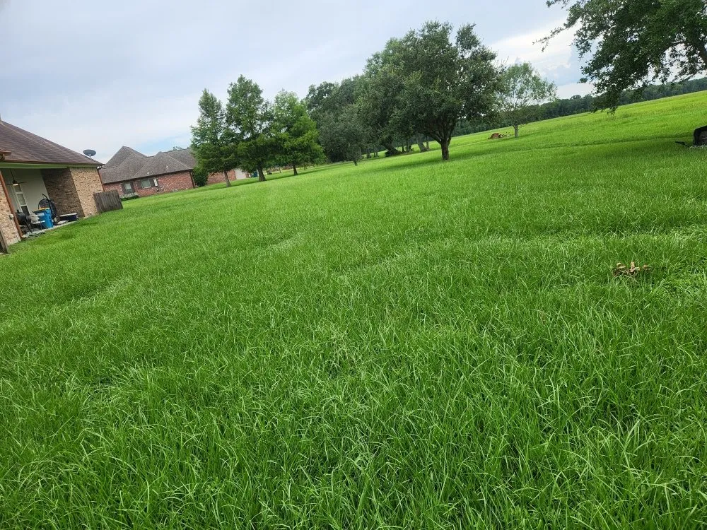 Trusted garden landscaping for homes across New Iberia, LA - Lanie's Lawncare Services