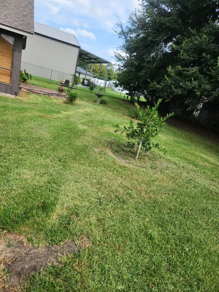 Top-rated landscape installation for beautiful yards across New Iberia, LA - Lanie's Lawncare Services