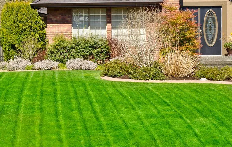 Professional yard cleanup service experts serving Sparks, NV - Lanis Lawn Care