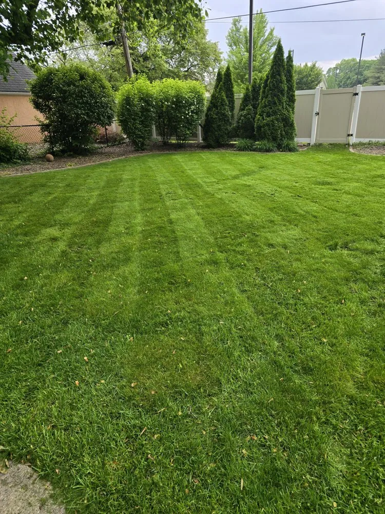 Reliable yard maintenance in Pekin, IL - Lankston Lawn Care Maintenance