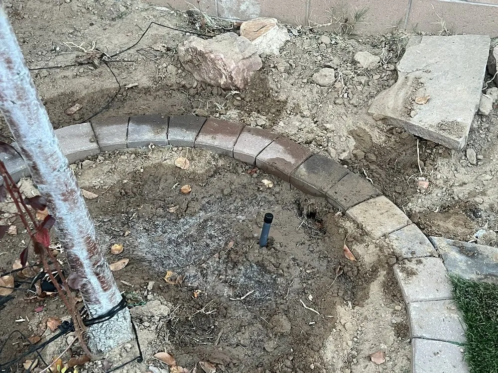 Reliable yard cleanup service experts serving Albuquerque, NM - Lannen's Lawn & Sprinkler