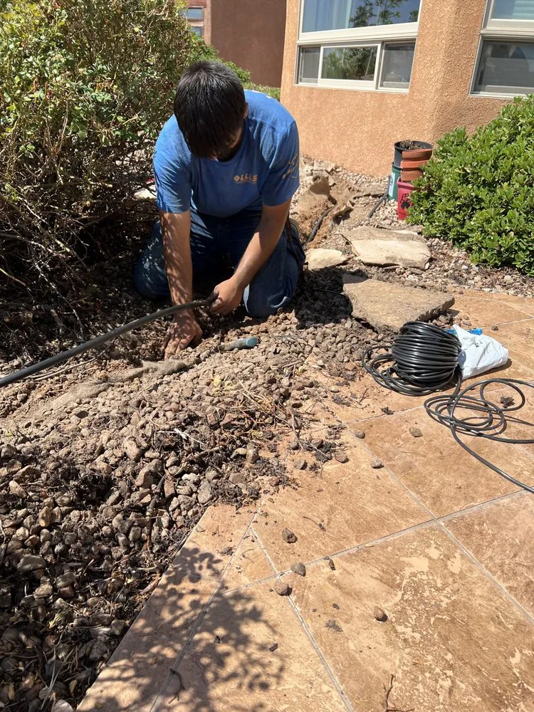 Affordable yard maintenance experts serving Albuquerque, NM - Lannen's Lawn & Sprinkler
