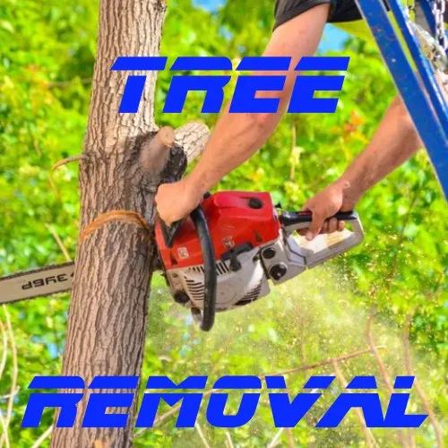 Local garden landscaping in Albuquerque, NM by Lannen's Lawn & Sprinkler