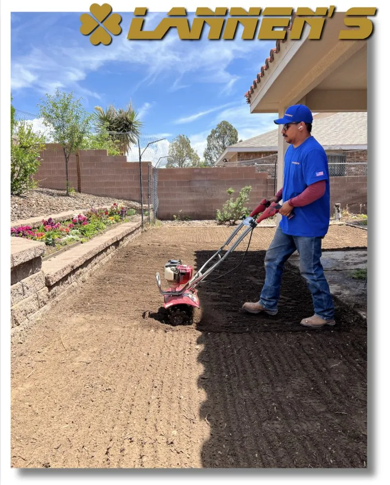 Custom yard maintenance for year-round maintenance across Albuquerque, NM - Lannen's Lawn & Sprinkler