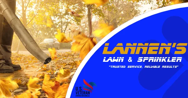 Expert yard cleanup service for outdoor upgrades in Albuquerque, NM by Lannen's Lawn & Sprinkler