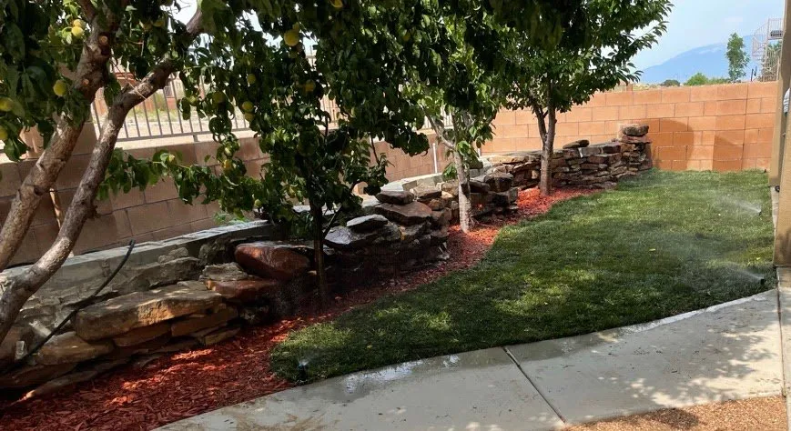 Expert yard cleanup service in Albuquerque, NM - Lannen's Lawn & Sprinkler