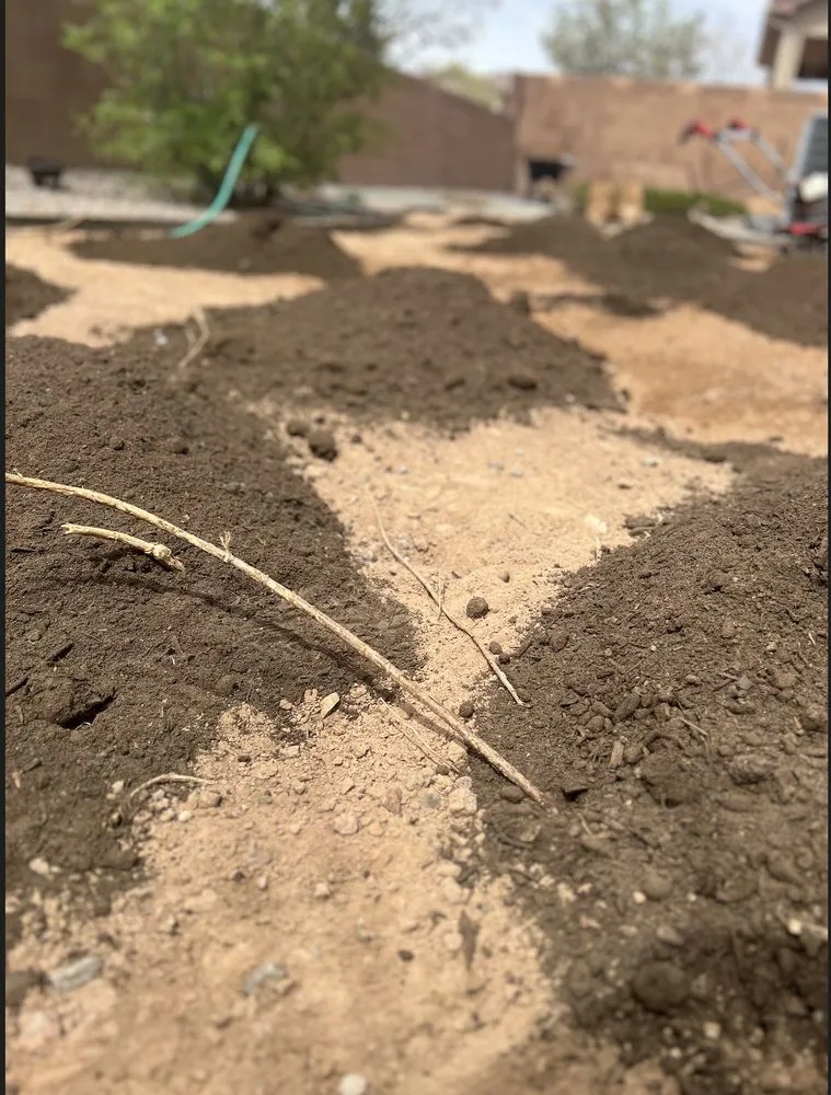 Professional yard cleanup service in Albuquerque, NM by Lannen's Lawn & Sprinkler