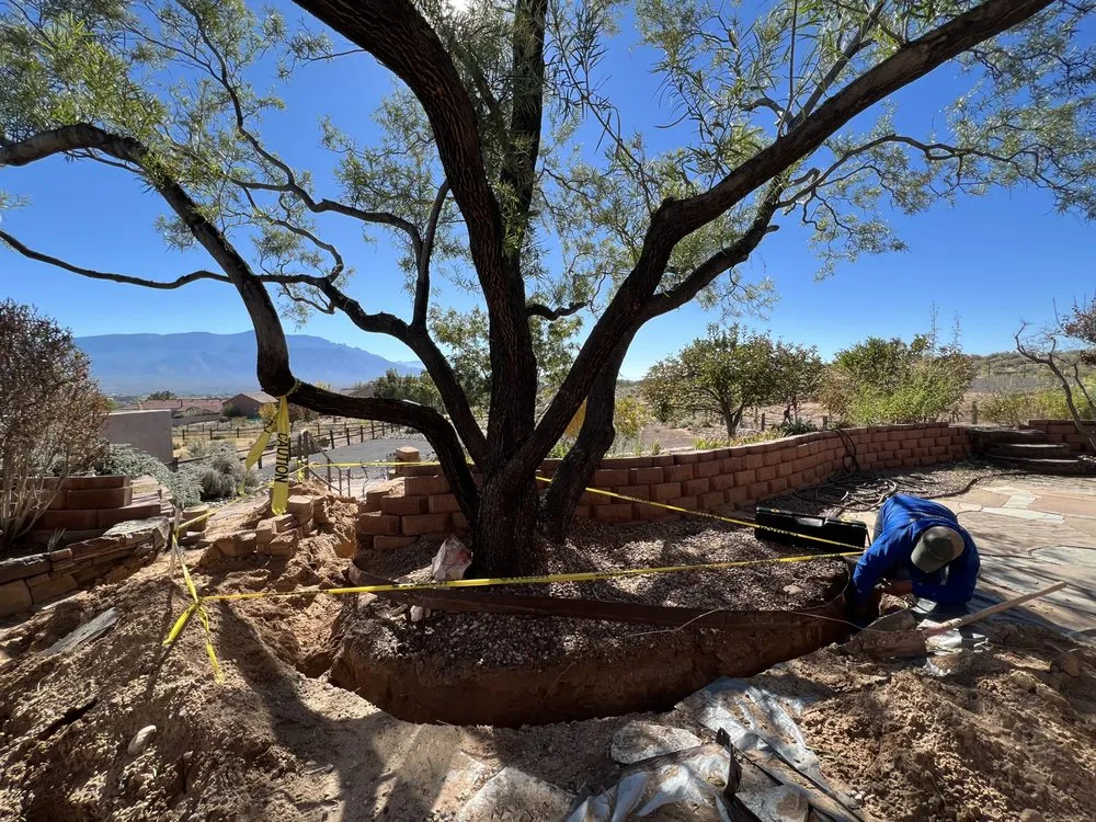 Trusted landscape design in Albuquerque, NM by Lannen's Lawn & Sprinkler