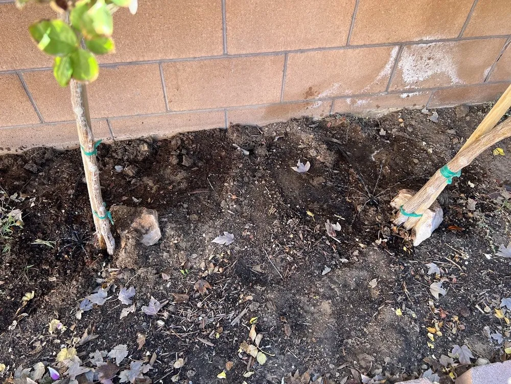 Local residential landscaping near you across Albuquerque, NM - Lannen's Lawn & Sprinkler