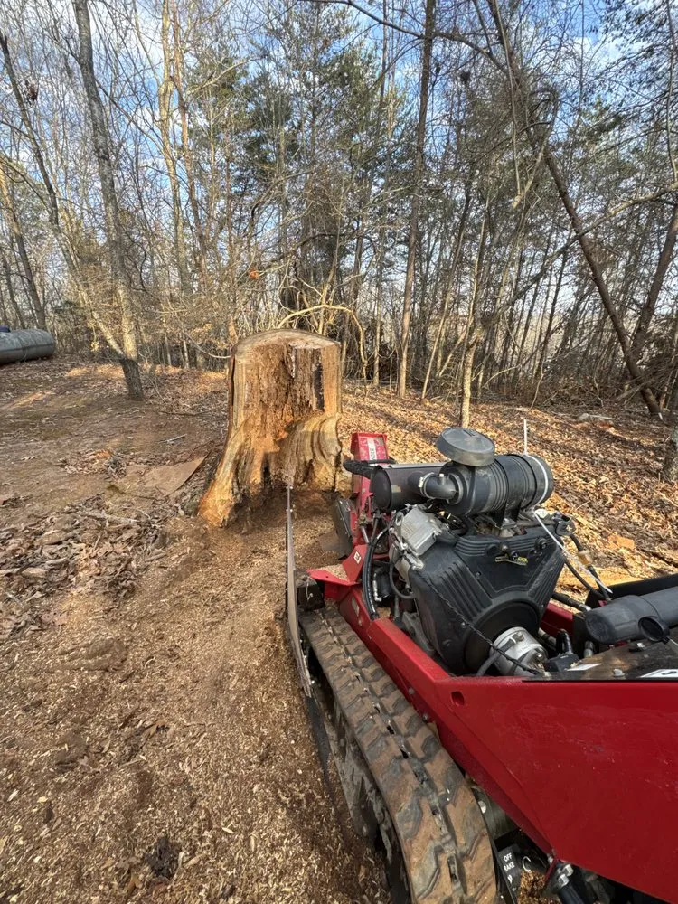 Professional landscape installation for beautiful yards in Hendersonville, NC by Lanning Road Farms