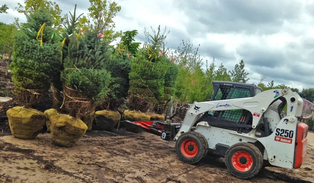 Custom lawn mowing service in Omaha, NE by Lanoha Nurseries