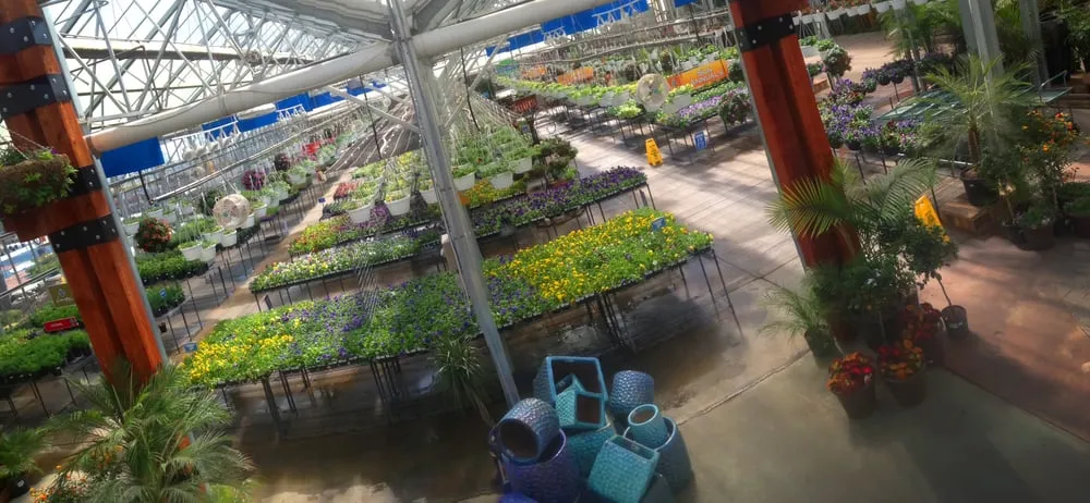 Reliable landscape design in Omaha, NE - Lanoha Nurseries