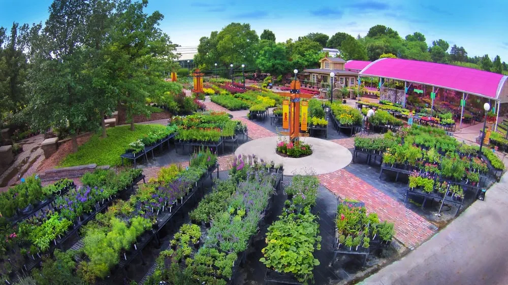 Expert outdoor landscaping experts serving Omaha, NE - Lanoha Nurseries