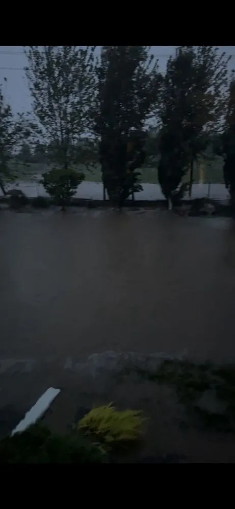 Top-rated landscape design for year-round maintenance in Omaha, NE by Lanoha Nurseries