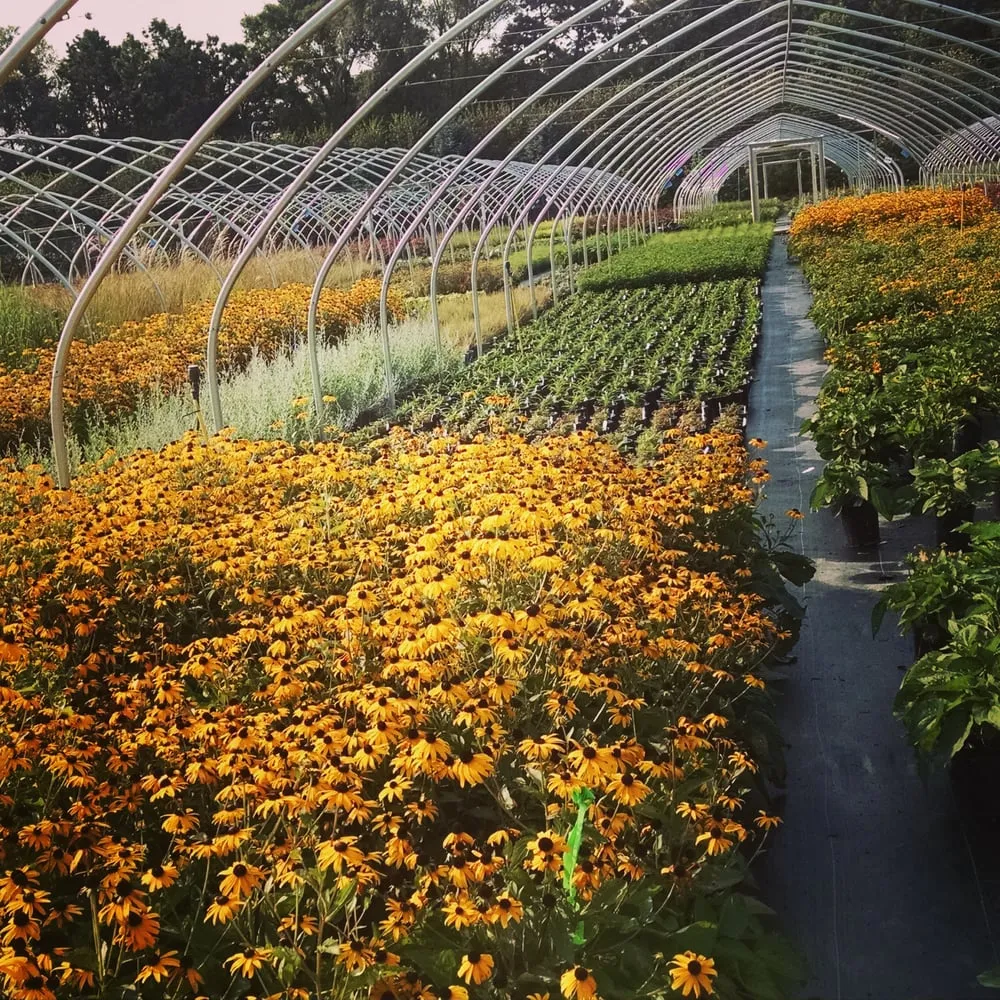 Affordable outdoor landscaping in Omaha, NE - Lanoha Nurseries