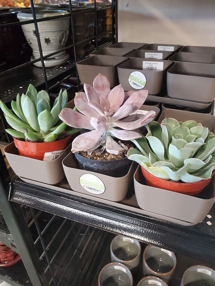 Top-rated residential landscaping in Omaha, NE by Lanoha Nurseries