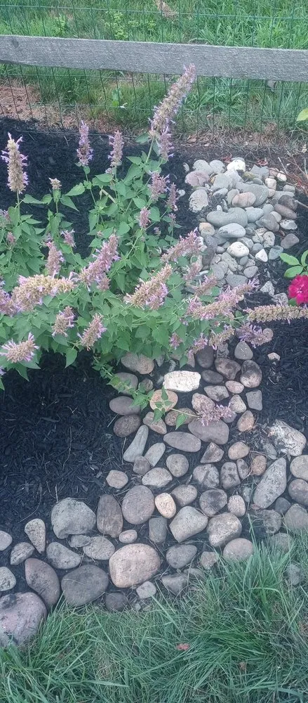 Affordable yard maintenance in Birdsboro, PA by Lanona Landscaping & Lanona Cleaning service