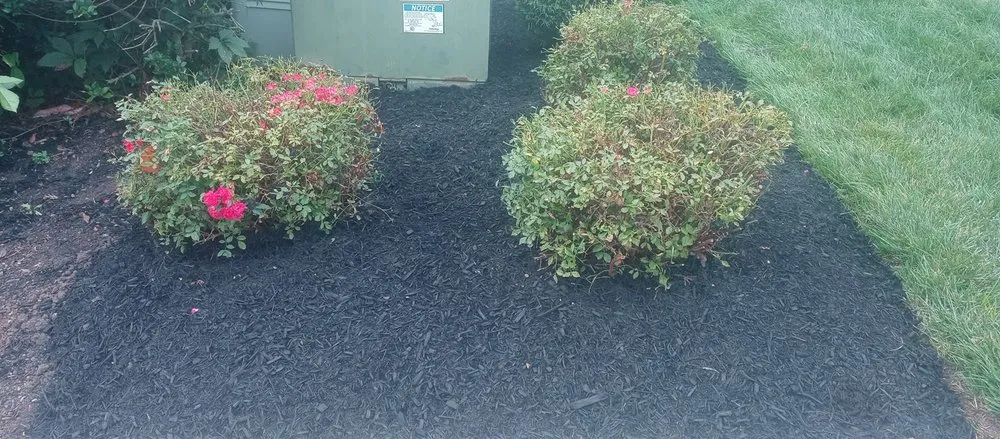 Professional landscape design experts serving Birdsboro, PA - Lanona Landscaping & Lanona Cleaning service