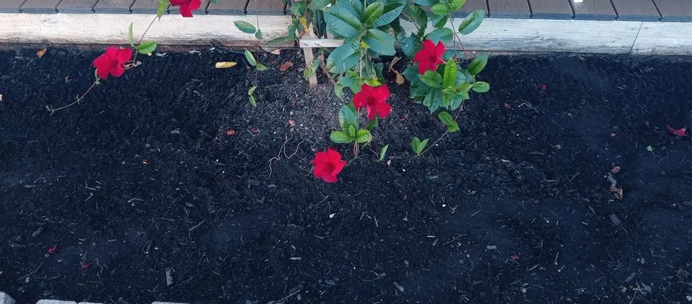 Affordable yard cleanup service experts serving Birdsboro, PA - Lanona Landscaping & Lanona Cleaning service