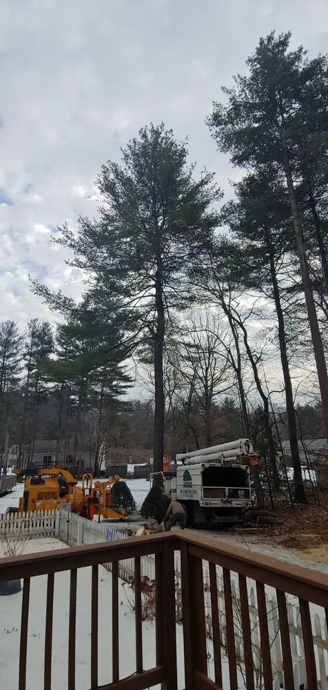 Affordable residential landscaping in Colrain, MA by Lanoue Tree & Landscape Service