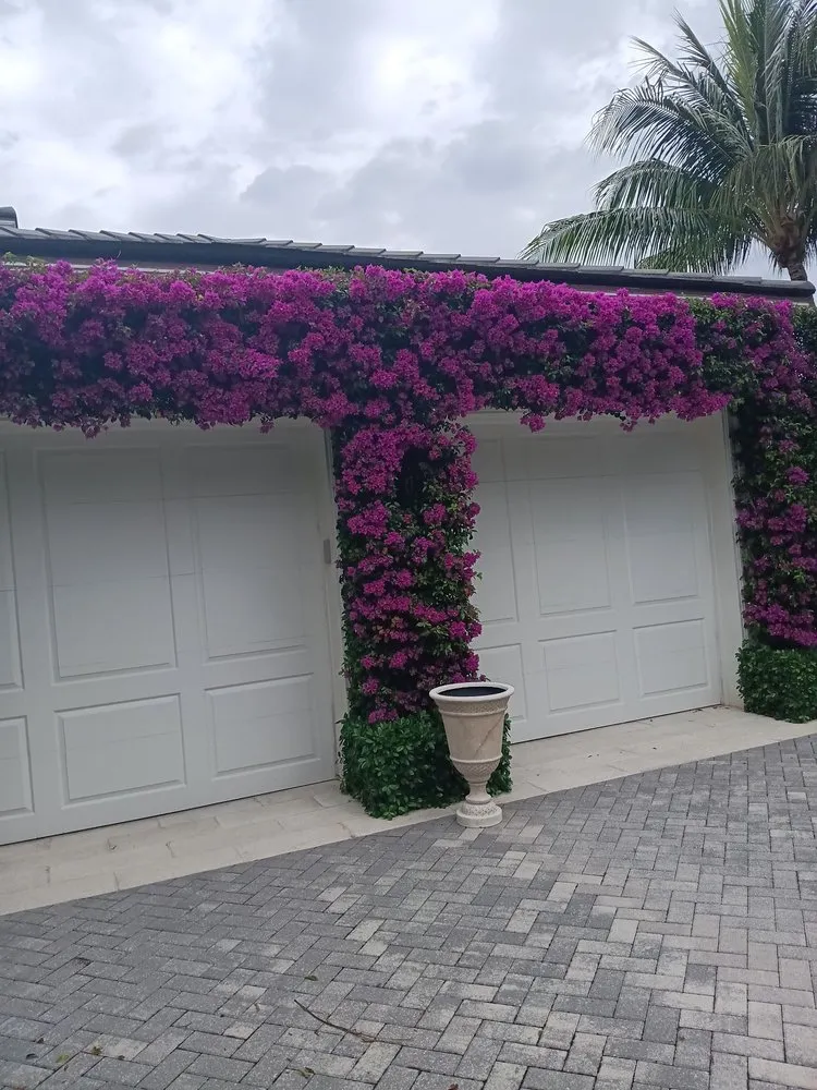 Trusted landscape installation in West Palm Beach, FL by Lans Cape Felipe