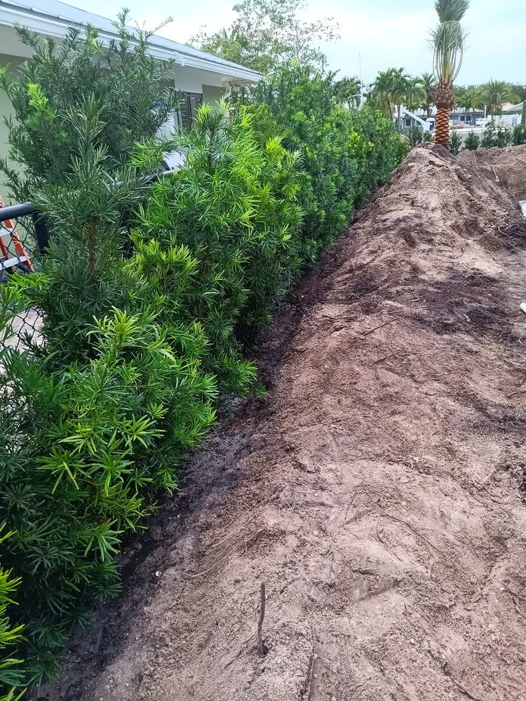 Trusted landscape design experts serving West Palm Beach, FL - Lans Cape Felipe