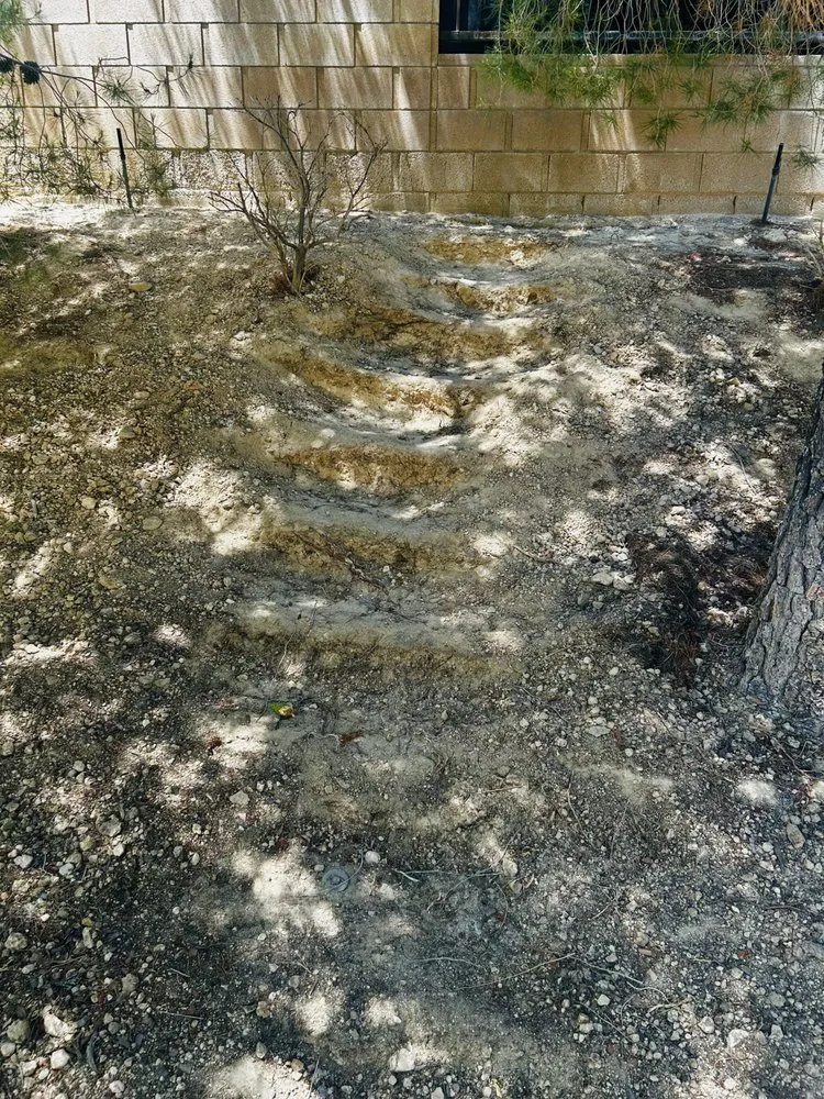 Top-rated yard maintenance for residential properties in Palmdale, CA by Lansca