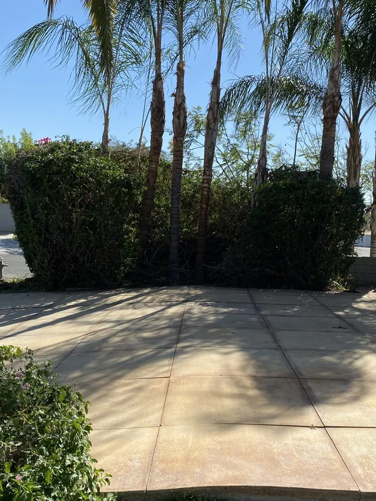 Reliable landscape installation for homes in Bakersfield, CA by Lansdcaping Lisandro