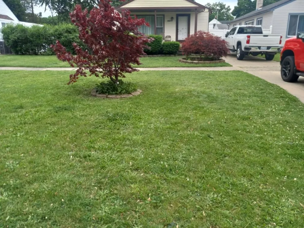Affordable landscaping services in Dearborn Heights, MI by Lansfield's Lawn Care