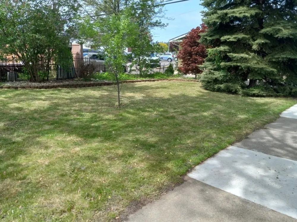 Custom lawn care service in Dearborn Heights, MI - Lansfield's Lawn Care