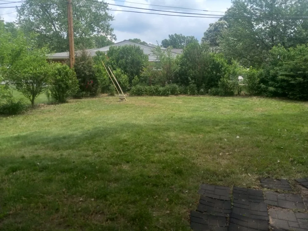 Trusted lawn mowing service for beautiful yards in Dearborn Heights, MI by Lansfield's Lawn Care