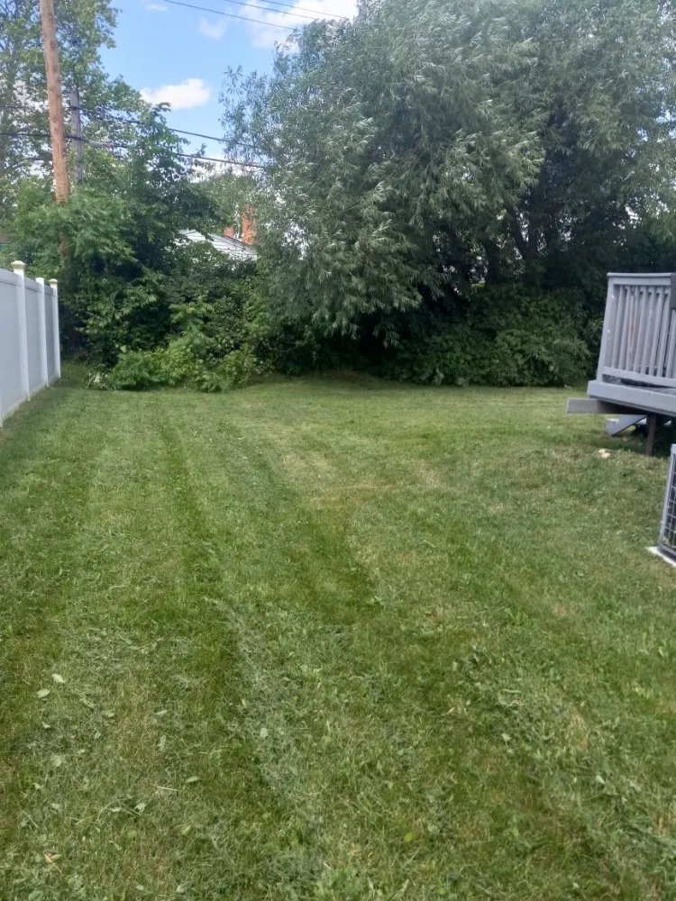 Top-rated yard cleanup service in Dearborn Heights, MI by Lansfield's Lawn Care
