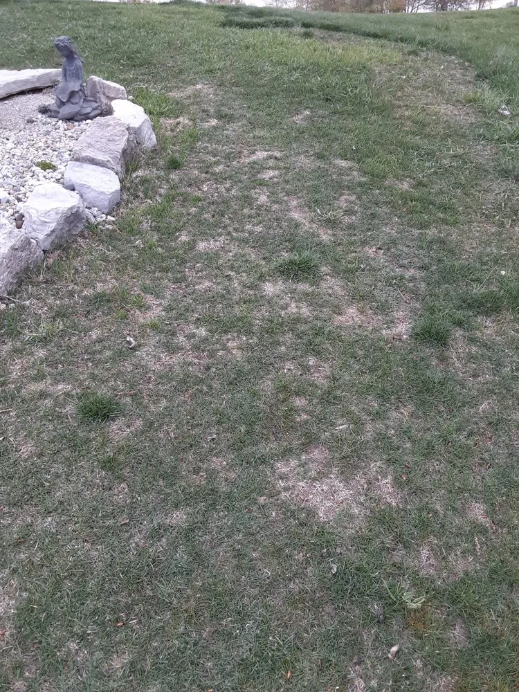 Trusted landscape design for homes across Dimondale, MI - Lansing Real Green Lawn Care