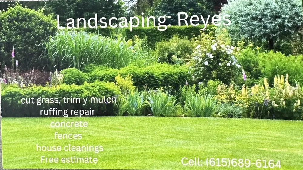 Affordable lawn care service experts serving Madison, TN - Lanskiping Reyes