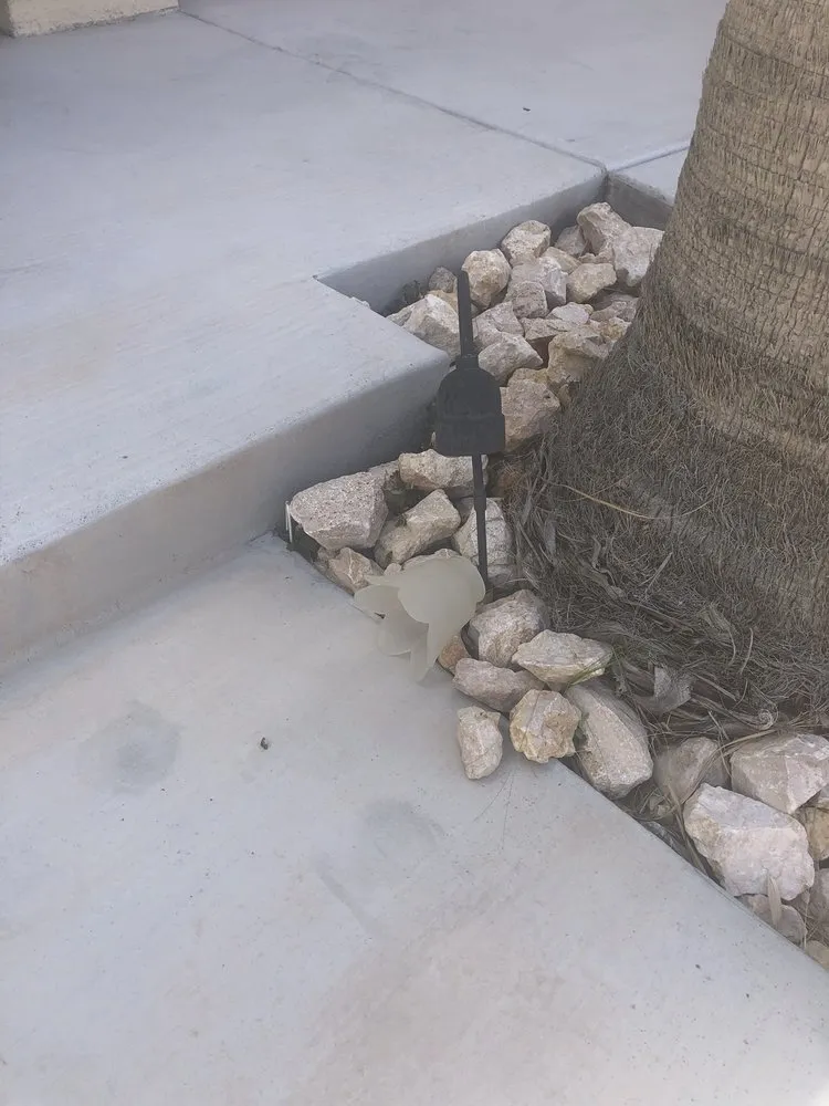 Professional yard maintenance in Tucker, GA by Lantana Landscaping