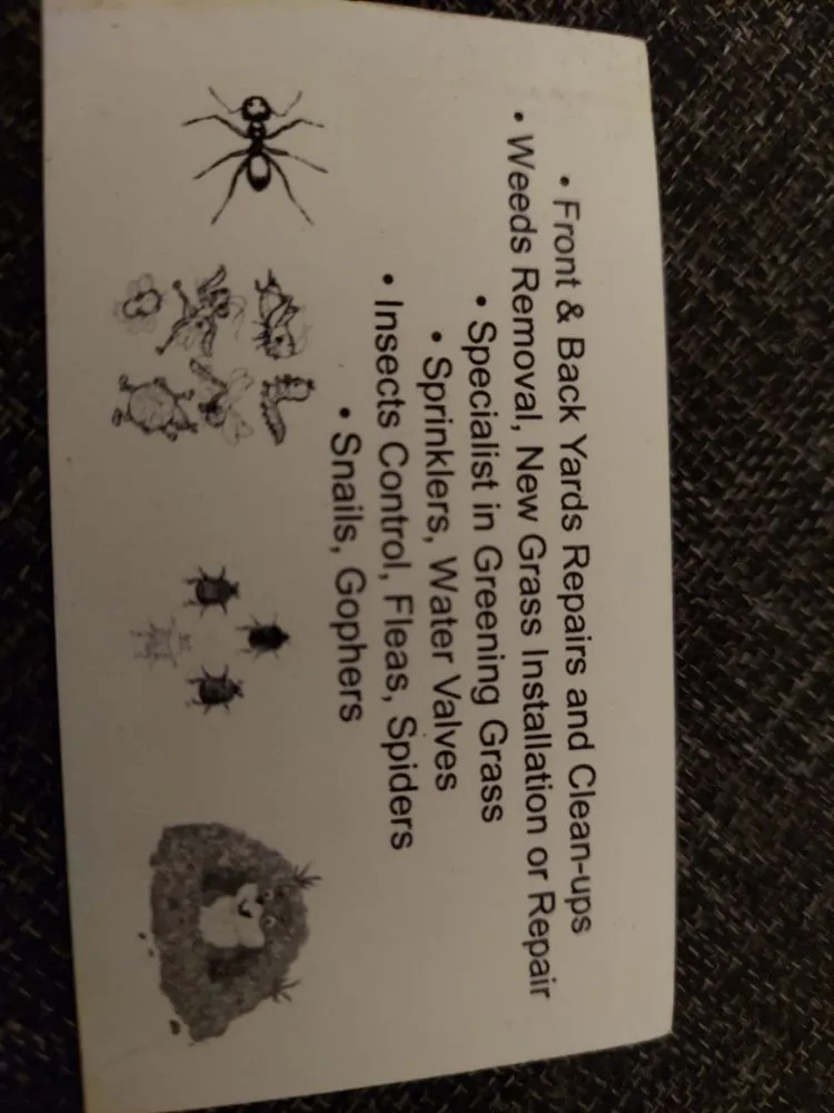 Trusted outdoor landscaping near you in Inglewood, CA by Lantana Maintenance Services