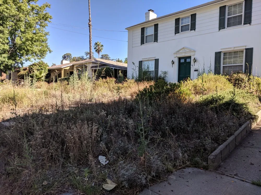 Expert yard maintenance in Claremont, CA - Lanter Landscapes