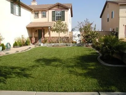 Reliable lawn care service experts serving Claremont, CA - Lanter Landscapes