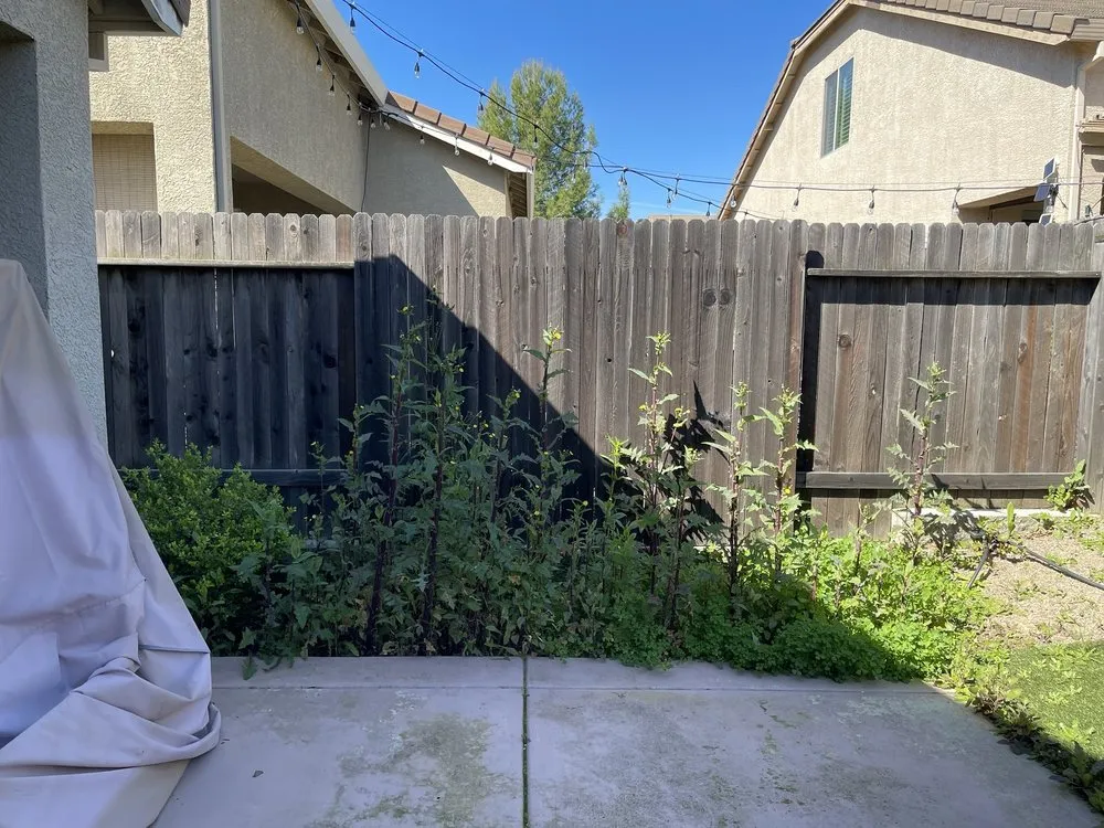 Expert lawn care service experts serving Roseville, CA - Lantscap Gardening