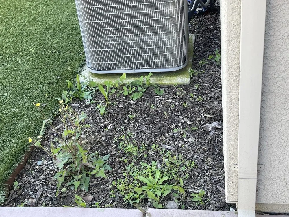 Trusted lawn care service with custom design in Roseville, CA by Lantscap Gardening