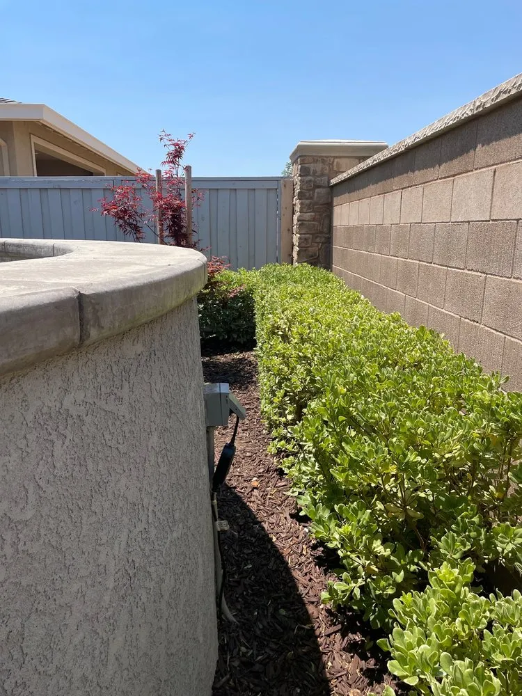 Reliable yard cleanup service in Roseville, CA - Lantscap Gardening