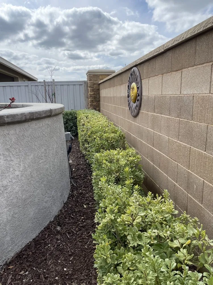 Expert lawn care service for homes in Roseville, CA by Lantscap Gardening