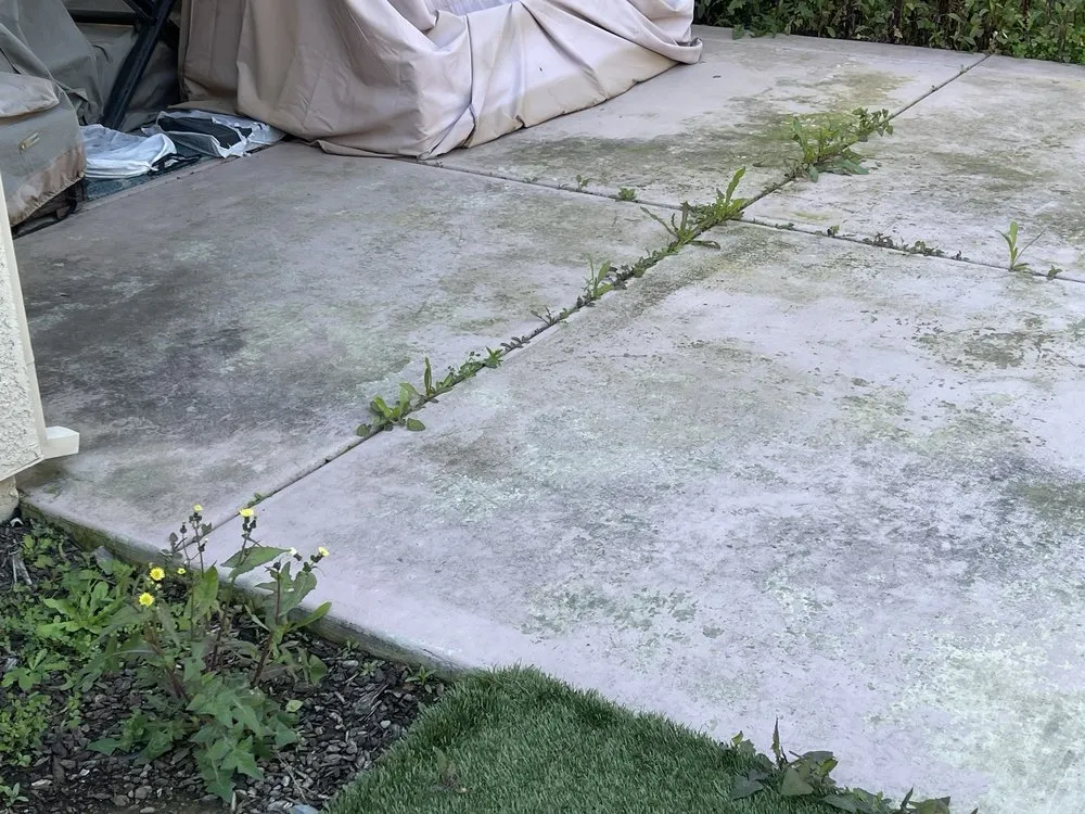 Top-rated yard cleanup service in Roseville, CA - Lantscap Gardening