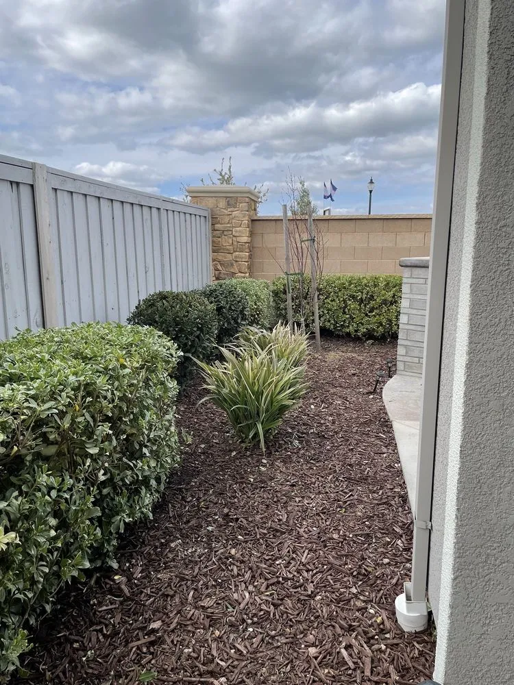 Local lawn mowing service in Roseville, CA by Lantscap Gardening