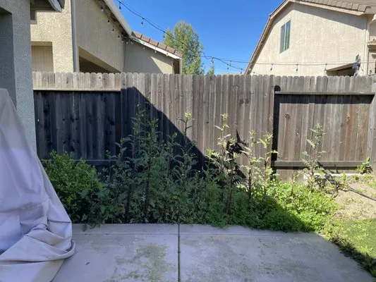 Lantscap Gardening Logo